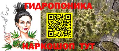 ГАЛЛЮЦИНОГЕННЫЕ ГРИБЫ Гусев