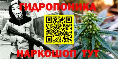 ГАЛЛЮЦИНОГЕННЫЕ ГРИБЫ Гусев