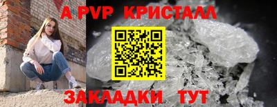 ГАЛЛЮЦИНОГЕННЫЕ ГРИБЫ Гусев