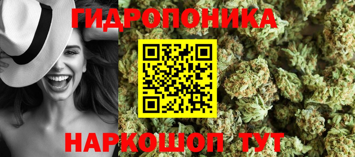 Каннабис план Междуреченск
